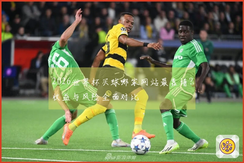 2026世界杯买球哪家网站最靠谱？收益与风险全面对比
