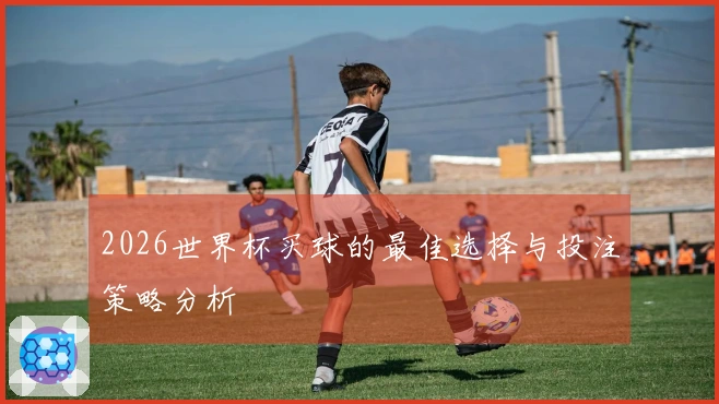 2026世界杯买球的最佳选择与投注策略分析