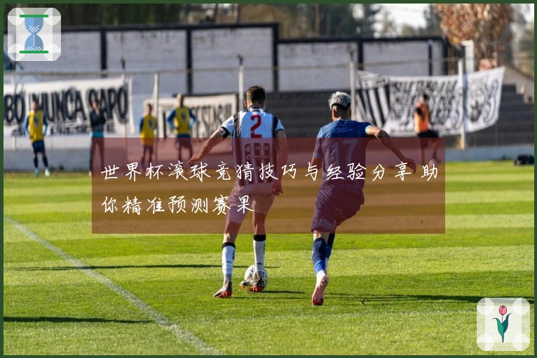 世界杯滚球竞猜技巧与经验分享 助你精准预测赛果
