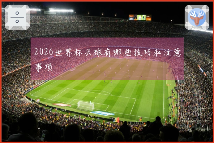 2026世界杯买球有哪些技巧和注意事项